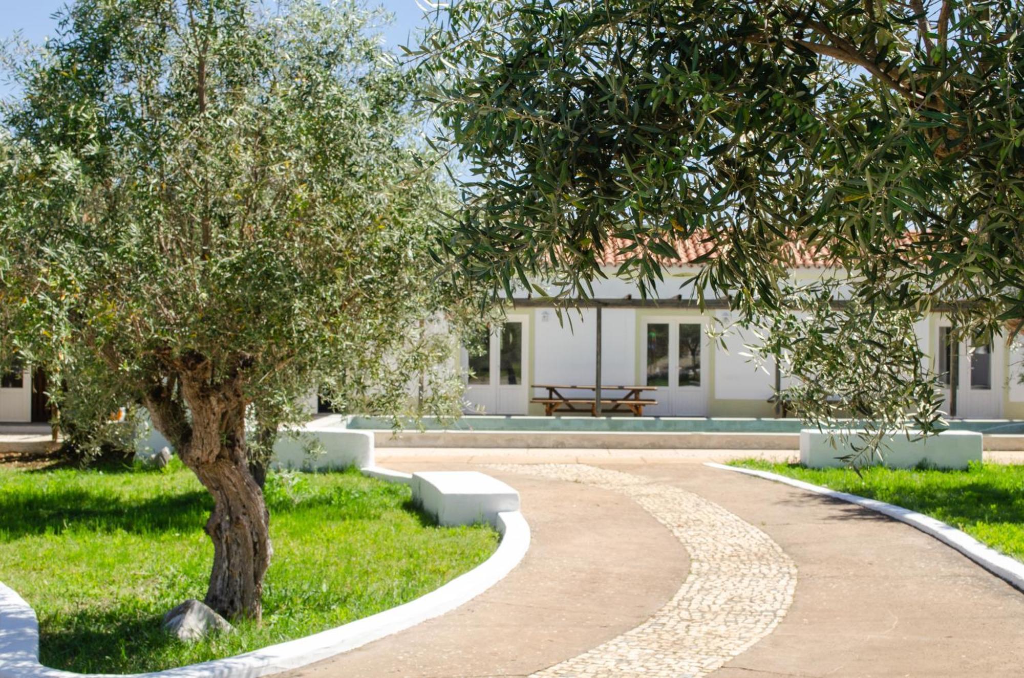 Monte Das Oliveiras - Casas De Campo Estremoz Exteriör bild
