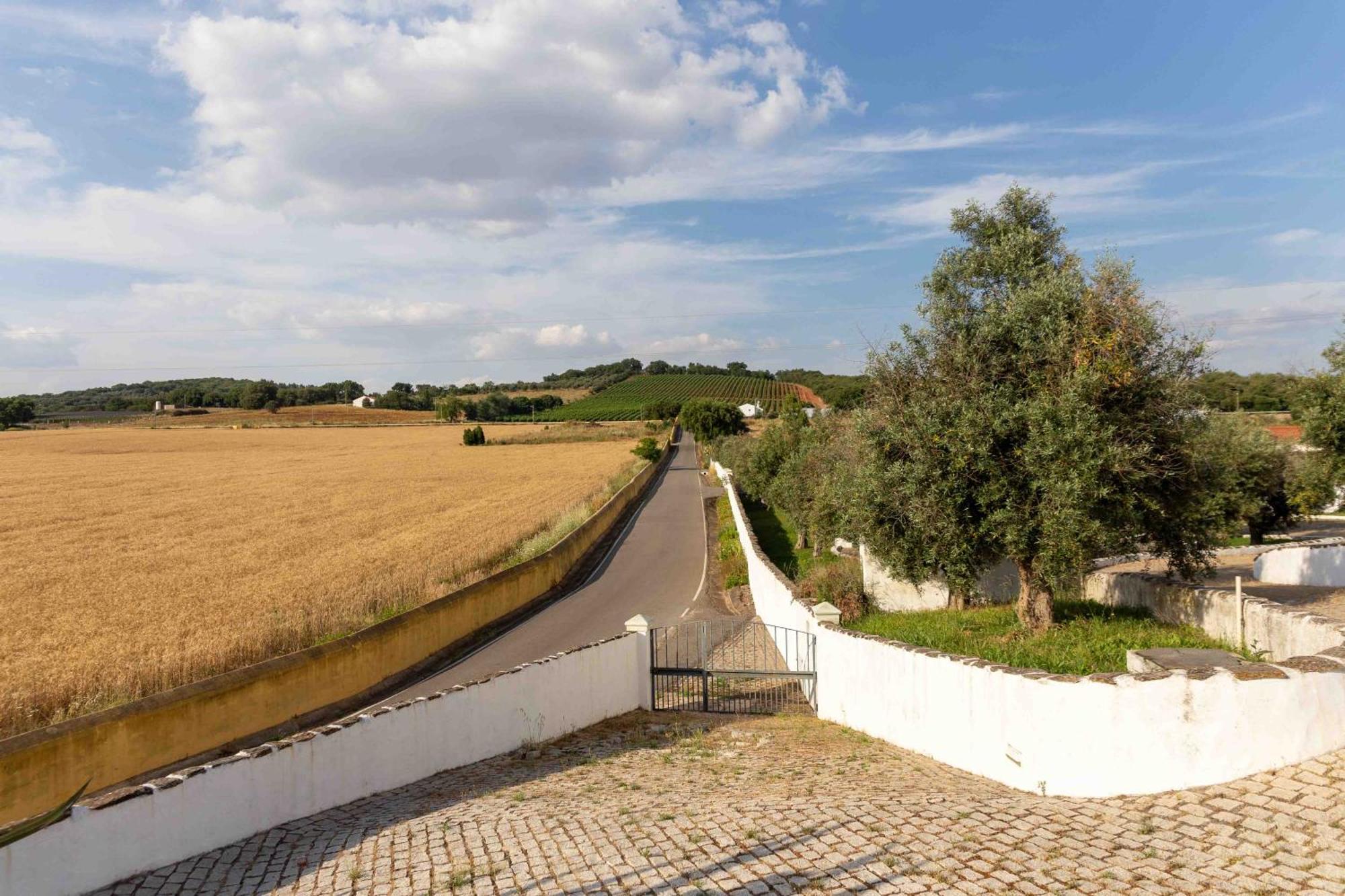 Monte Das Oliveiras - Casas De Campo Estremoz Exteriör bild