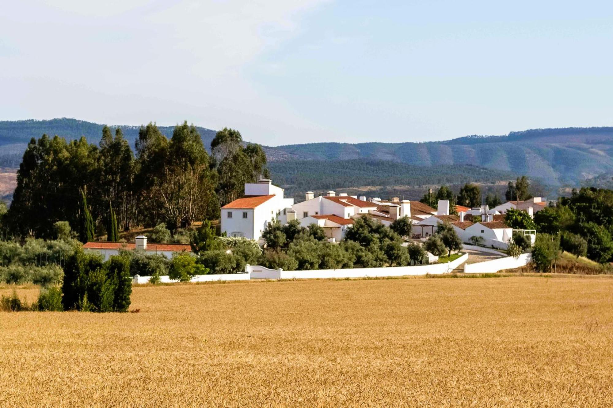 Monte Das Oliveiras - Casas De Campo Estremoz Exteriör bild